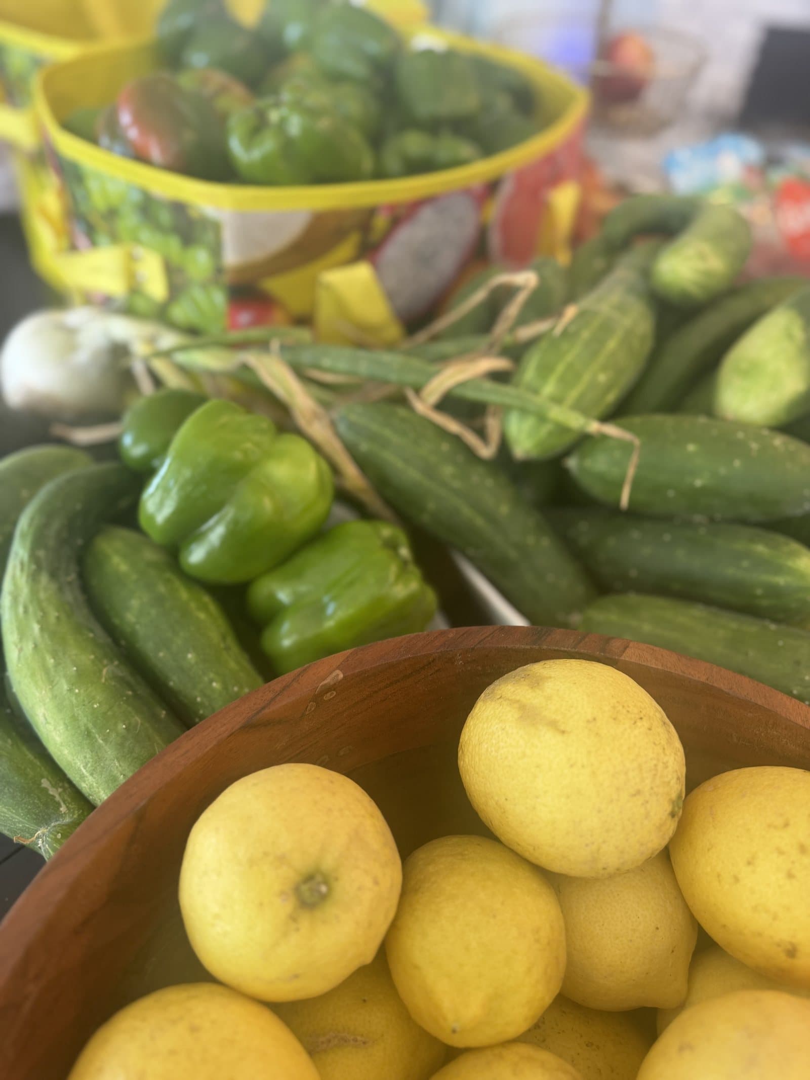 Fresh produce harvested from the ranch garden